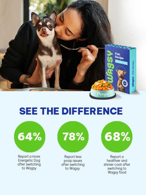 See your pet thrive with Wagsy's fresh pet food. This image captures a woman feeding her Chihuahua, showcasing the benefits of our Fish recipe. Noticeable improvements in energy, digestion, and coat health are just a meal away!
