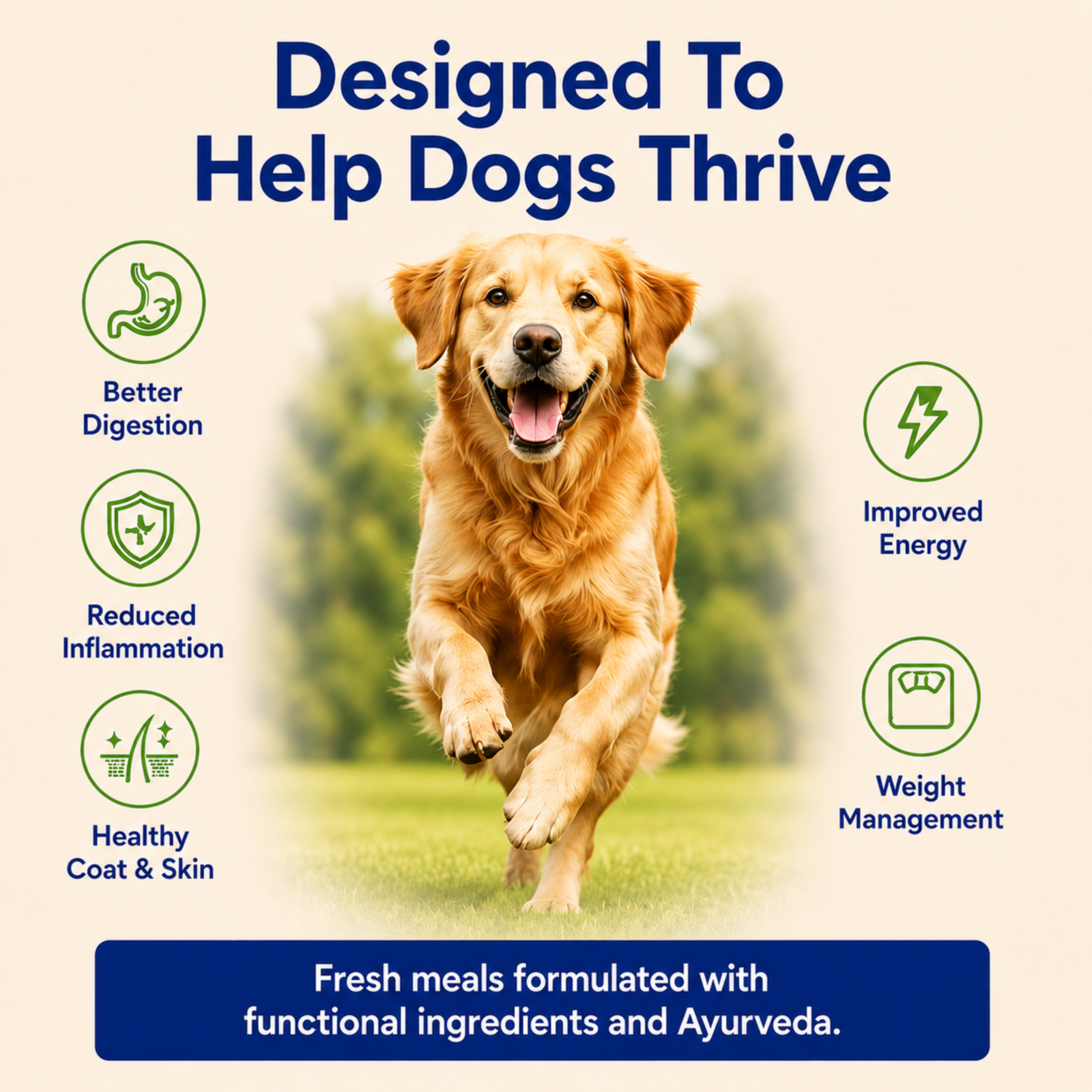 Lamb & Quinoa | Healthy Fresh Food For Dogs